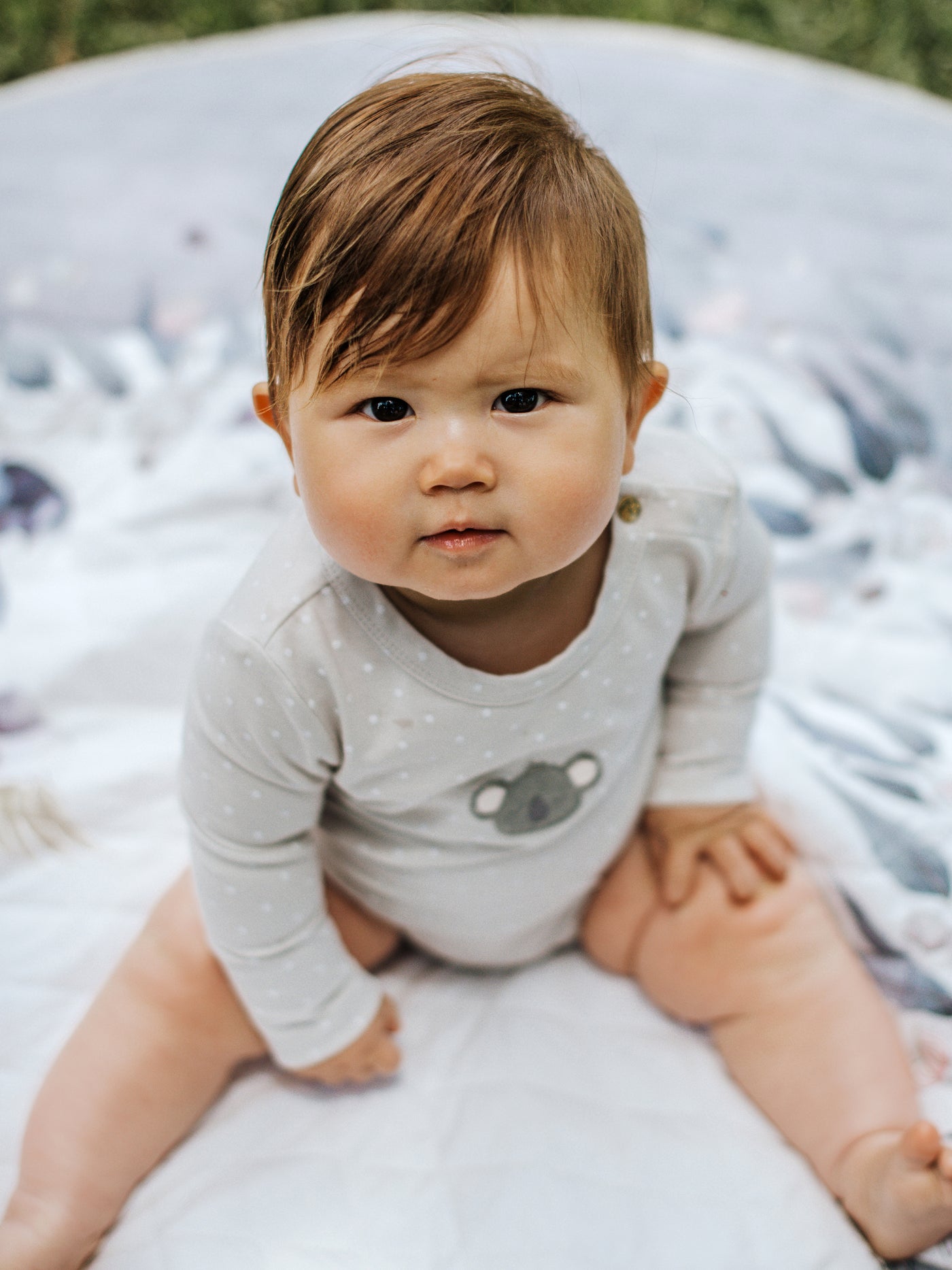 'Bush Babies' Koala Long Sleeve Bodysuit - Bush Melody Spot